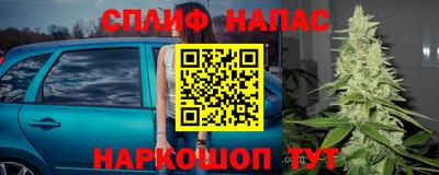 трава Нальчик